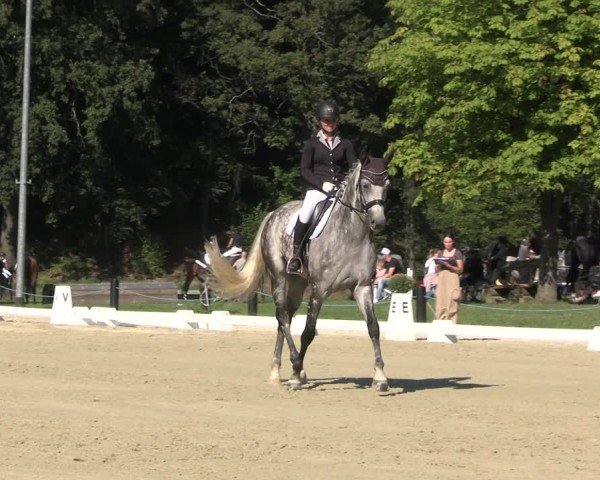 Reitturnier Seelitz 2024