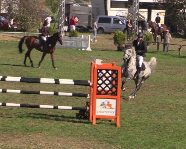 Reitturnier Crivitz 2024