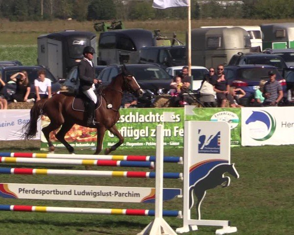 Reitturnier Crivitz 2024