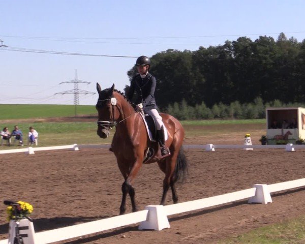 Reitturnier Crivitz 2024