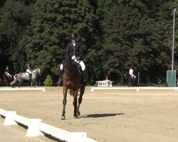 Reitturnier Seelitz 2024