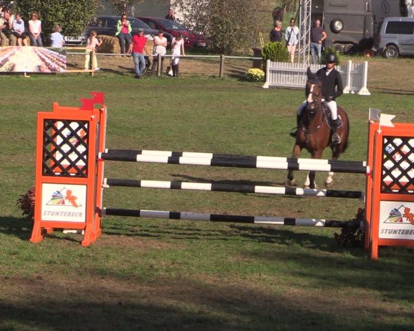 Reitturnier Crivitz 2024