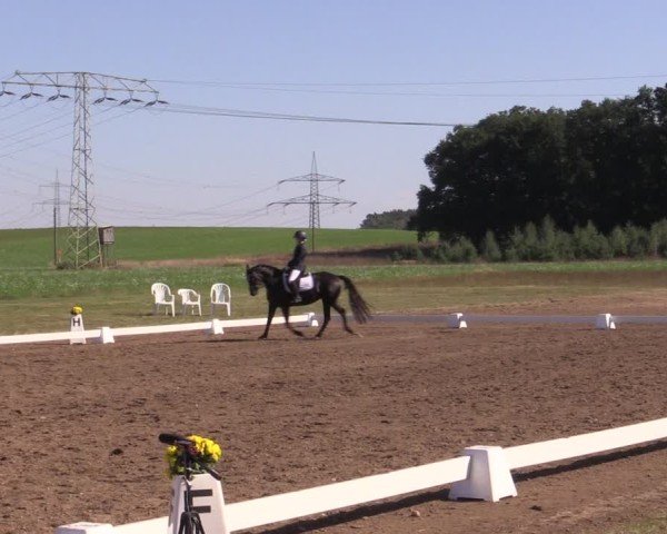 Reitturnier Crivitz 2024