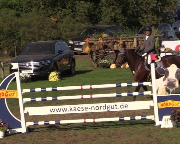 Reitturnier Crivitz 2024