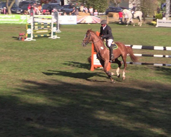 Reitturnier Crivitz 2024