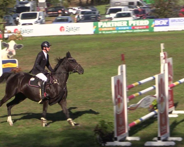 Reitturnier Crivitz 2024