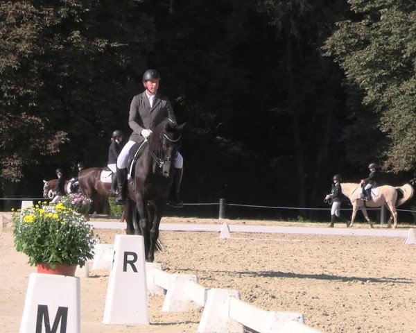 Reitturnier Seelitz 2024