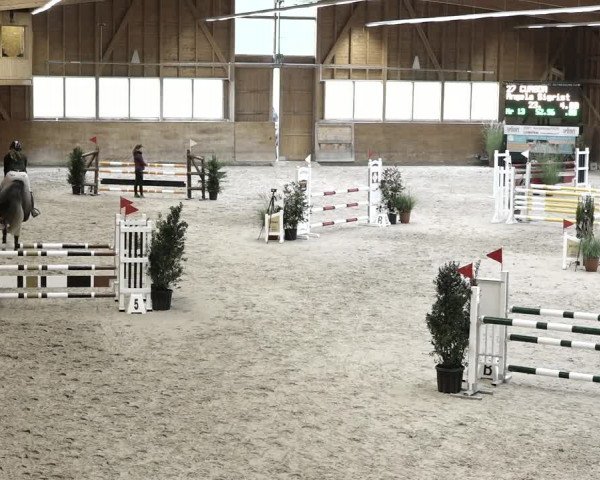 Reitturnier Rüti 2021