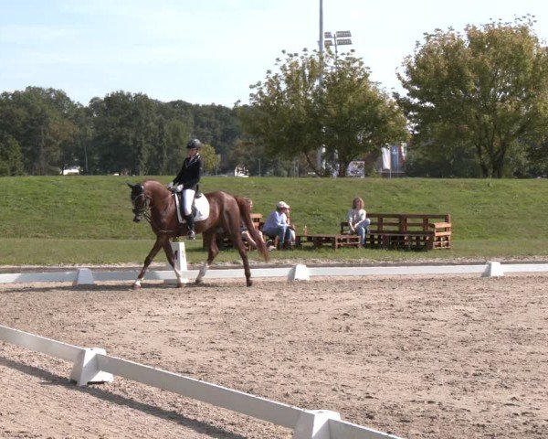Reitturnier Langenfeld - Gut Langfort 2024