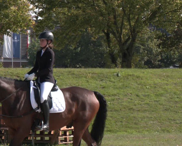Reitturnier Langenfeld - Gut Langfort 2024