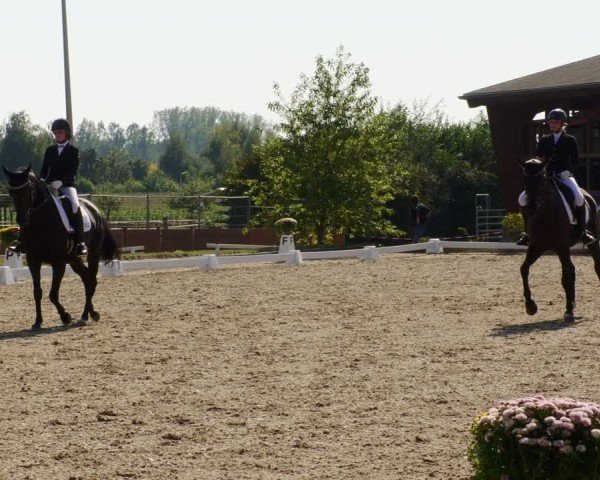 Reitturnier Rodgau-Weiskirchen 2024