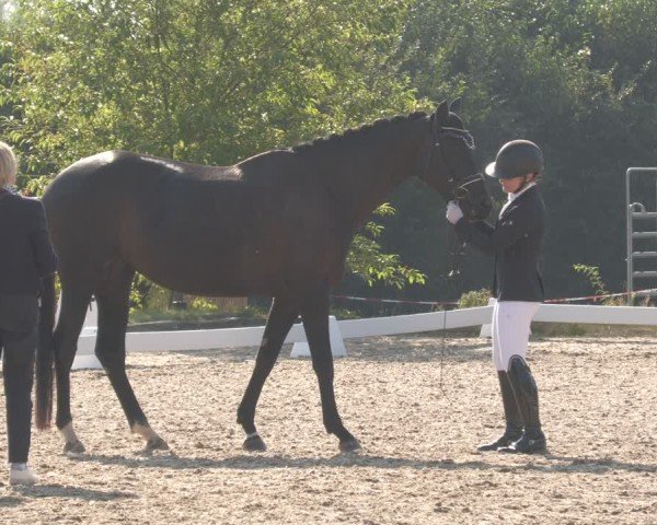 Reitturnier Rodgau-Weiskirchen 2024