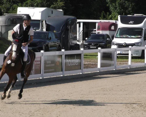Reitturnier Memmingen 2024
