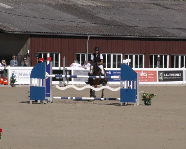 Reitturnier Memmingen 2024