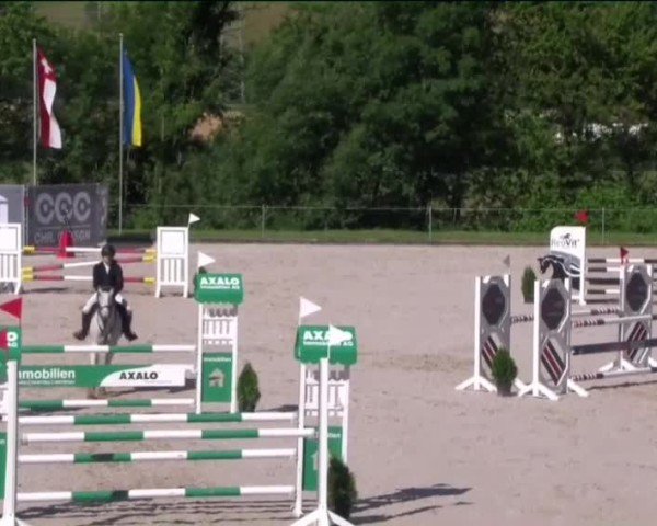 Reitturnier Maienfeld 2024