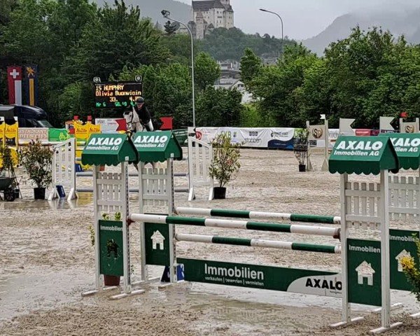 Reitturnier Balzers 2024