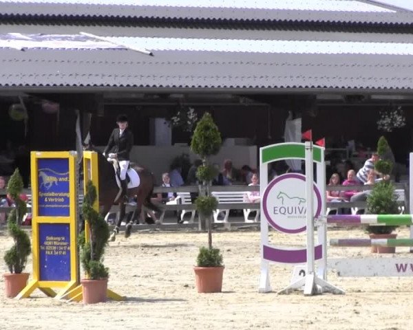 Reit- und Springturnier Münster-Roxel 2013