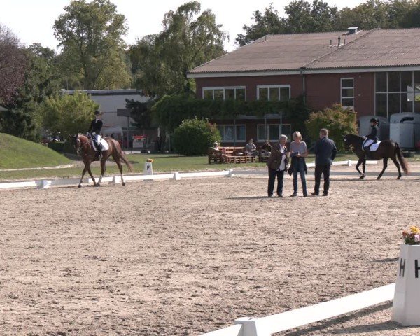 Reitturnier Langenfeld - Gut Langfort 2024