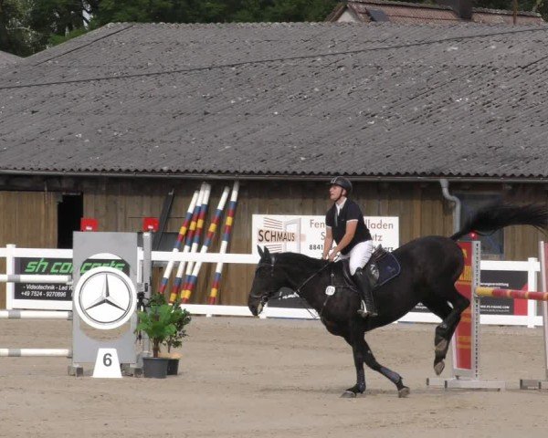 Reitturnier Memmingen 2024