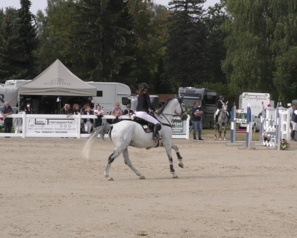 Reitturnier Memmingen 2024