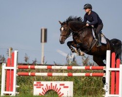 broodmare Liberia HS (Holsteiner, 2018, from Uriko)