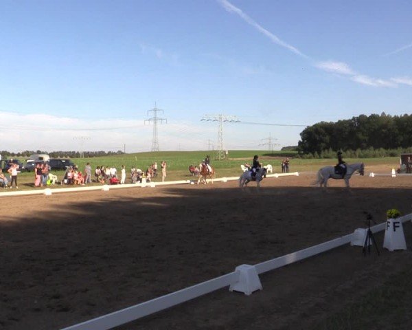 Reitturnier Crivitz 2024