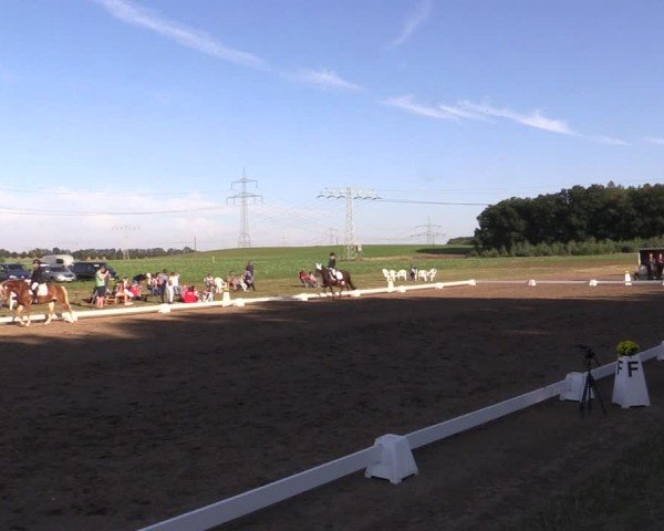 Reitturnier Crivitz 2024