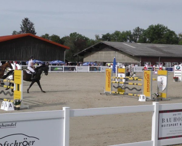 Reitturnier Memmingen 2024