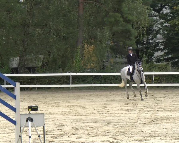 Reitturnier Bregenz 2024