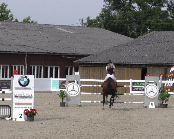 Reitturnier Memmingen 2024