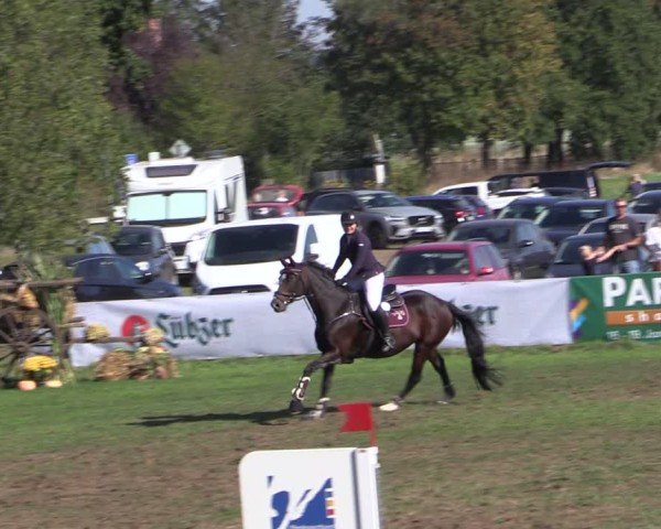 Reitturnier Crivitz 2024