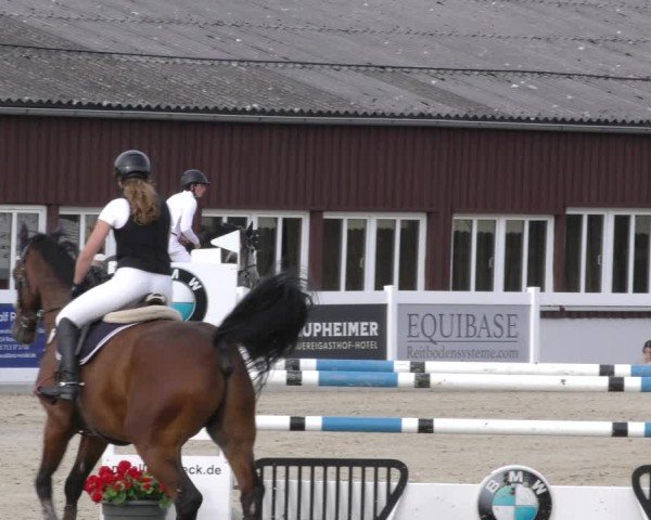 Reitturnier Memmingen 2024