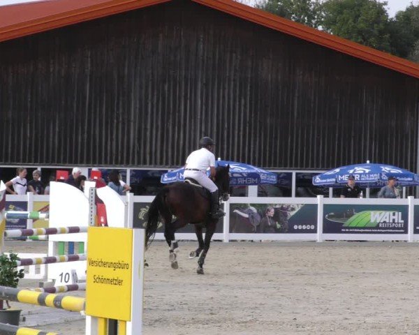 Reitturnier Memmingen 2024