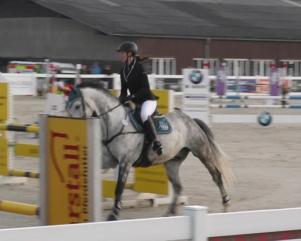 Reitturnier Memmingen 2024