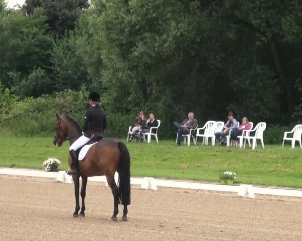 Reitturnier Langenfeld 2013