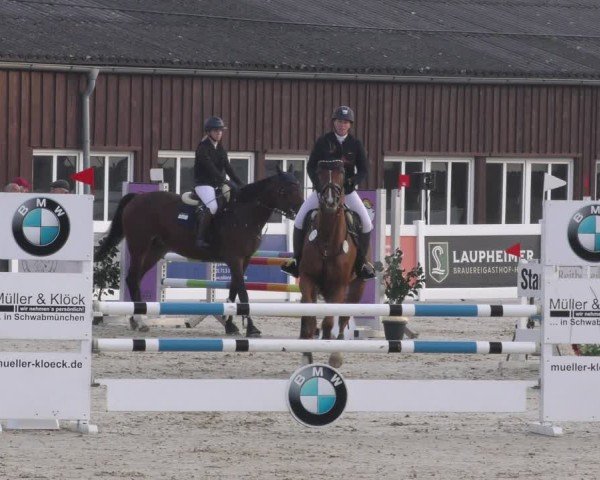 Reitturnier Memmingen 2024