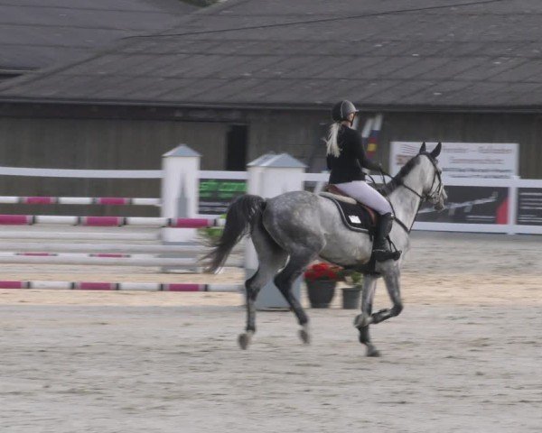 Reitturnier Memmingen 2024