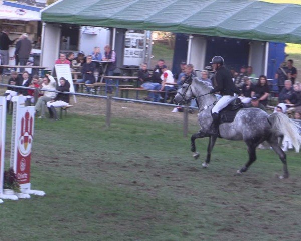 Reitturnier Crivitz 2024