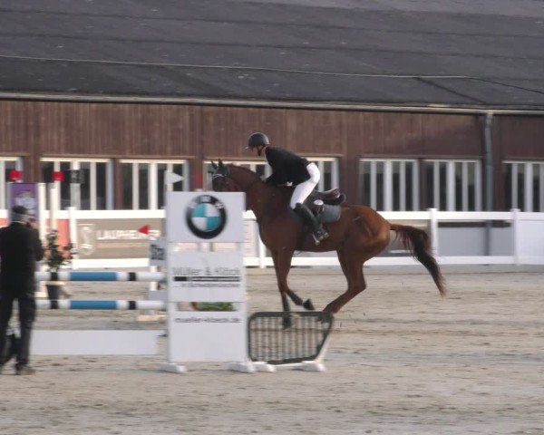 Reitturnier Memmingen 2024
