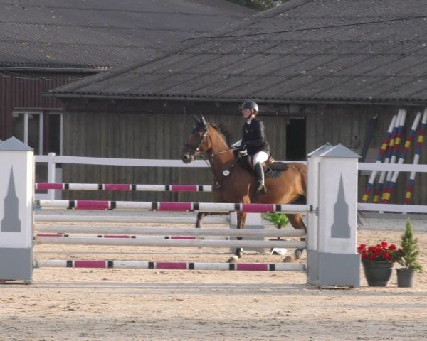 Reitturnier Memmingen 2024
