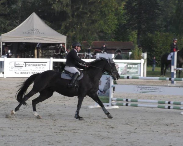 Reitturnier Memmingen 2024