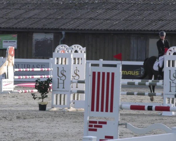 Reitturnier Memmingen 2024