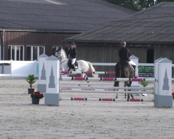 Reitturnier Memmingen 2024