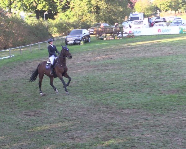 Reitturnier Crivitz 2024