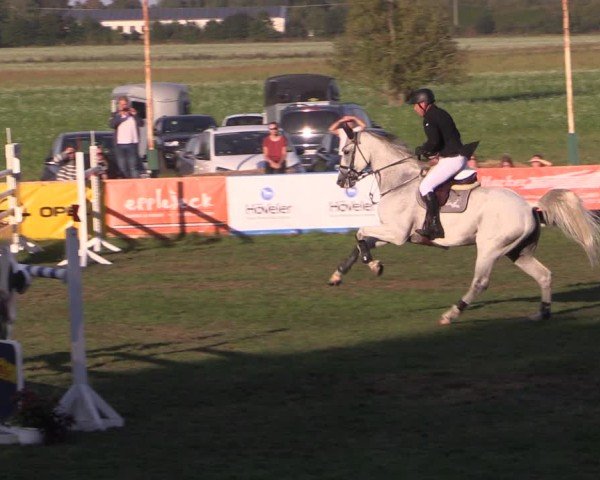 Reitturnier Crivitz 2024