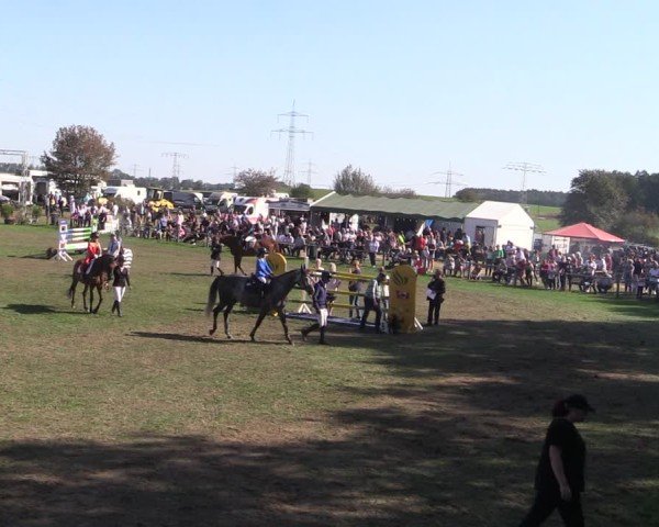 Reitturnier Crivitz 2024
