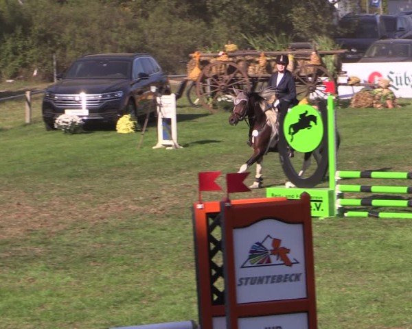 Reitturnier Crivitz 2024