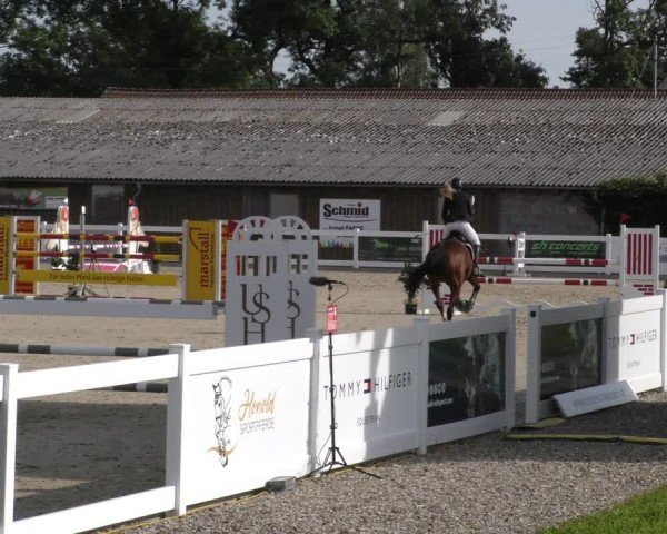 Reitturnier Memmingen 2024