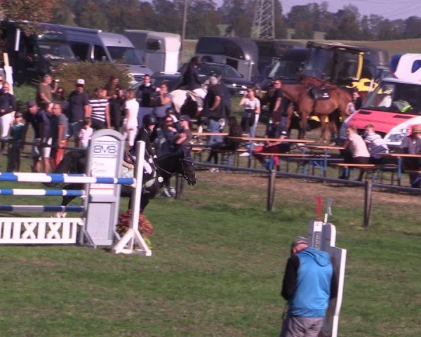 Reitturnier Crivitz 2024