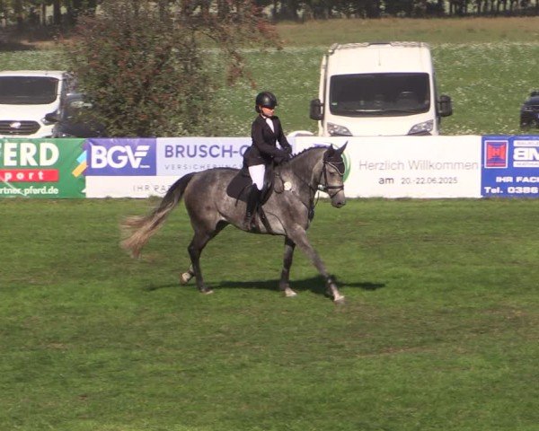 Reitturnier Crivitz 2024
